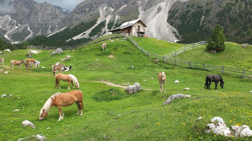 Garni Le Chalet Santa Cristina Val Gardena Экстерьер фото