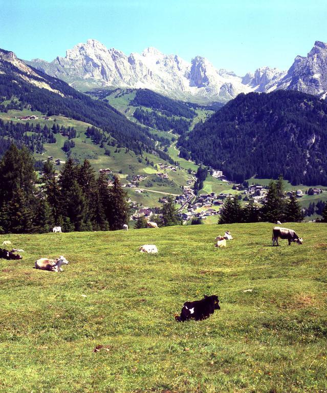 Garni Le Chalet Santa Cristina Val Gardena Экстерьер фото