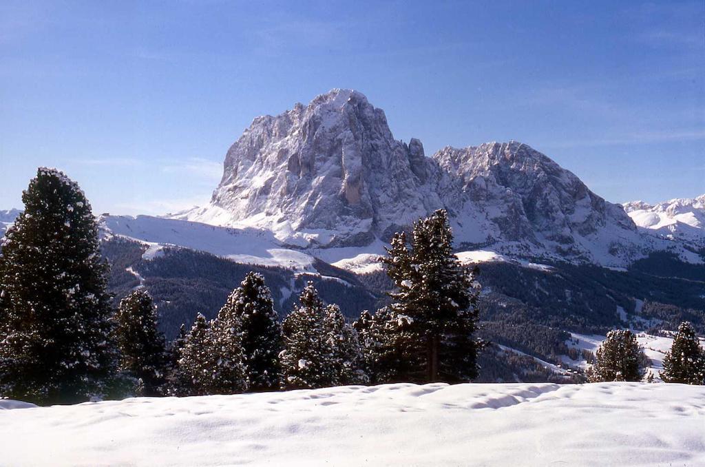 Garni Le Chalet Santa Cristina Val Gardena Экстерьер фото