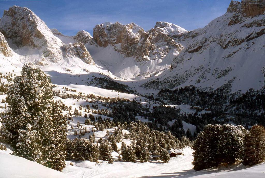 Garni Le Chalet Santa Cristina Val Gardena Экстерьер фото