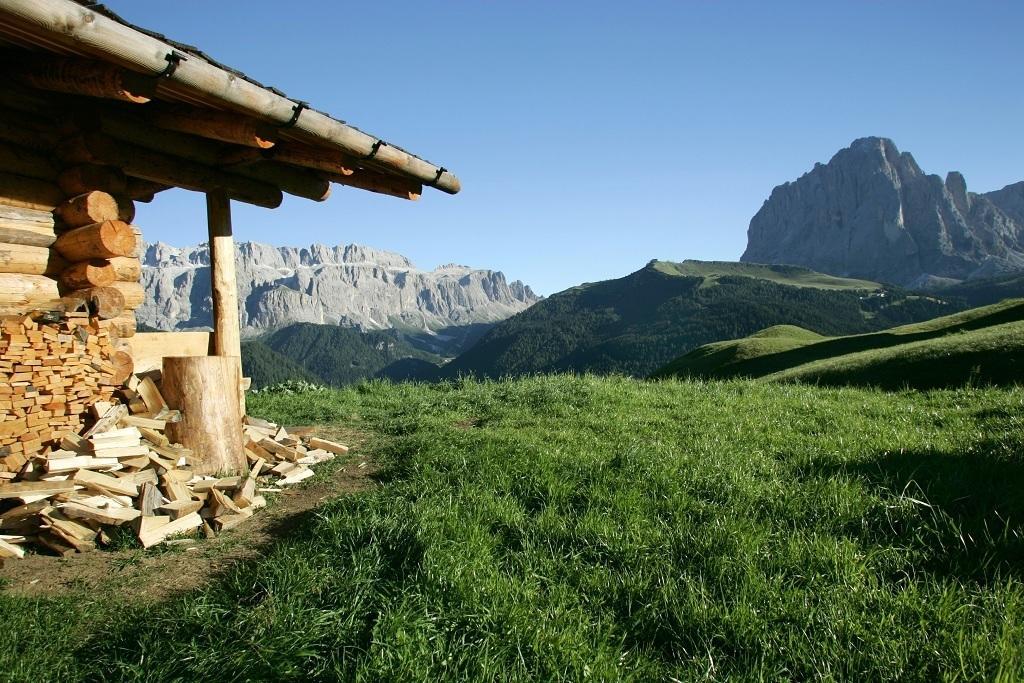 Garni Le Chalet Santa Cristina Val Gardena Экстерьер фото